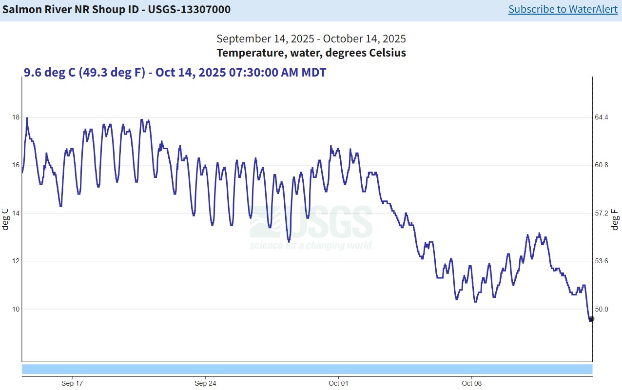 USGS Gauge nr Shoup - temp 10-14-25