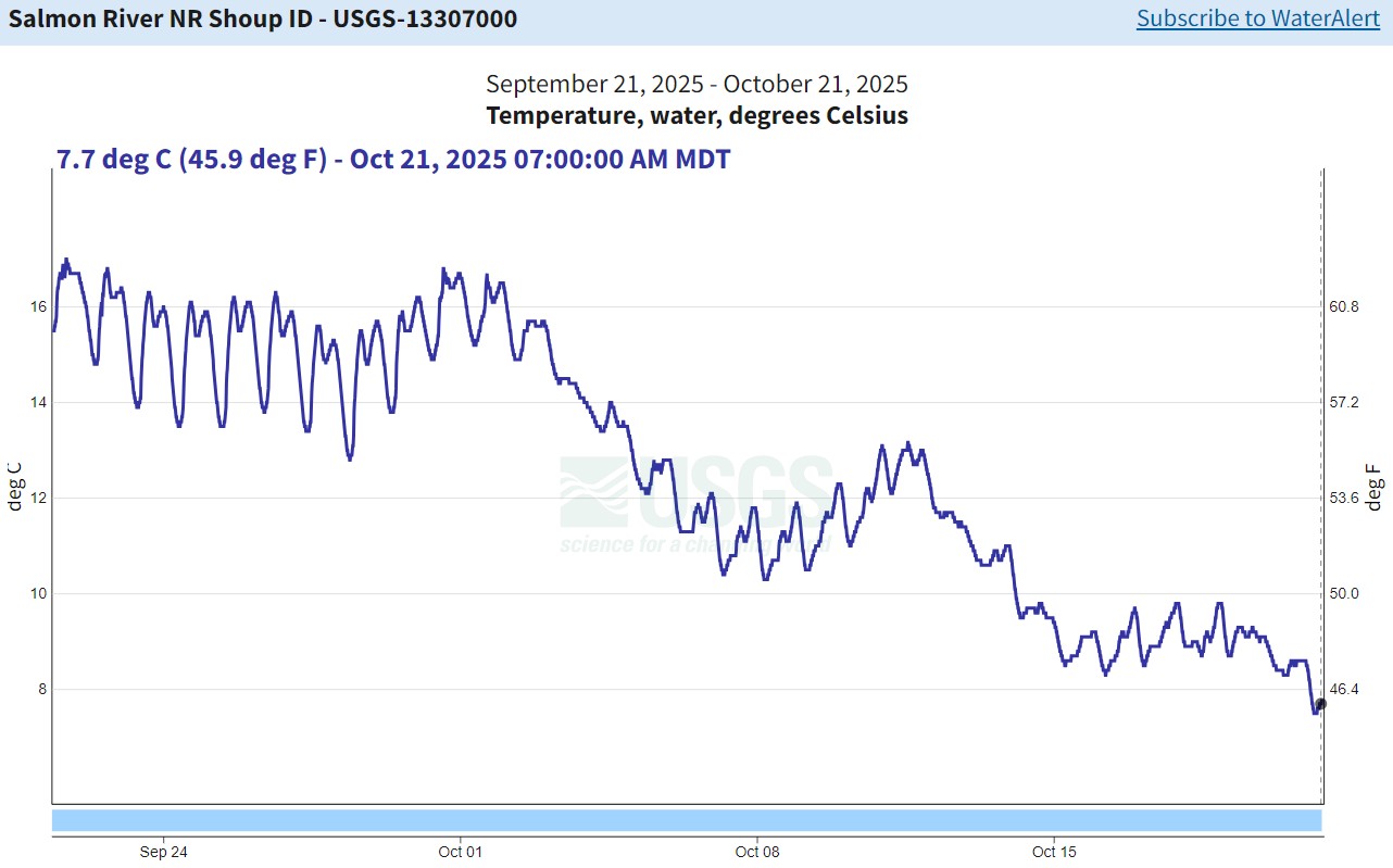 USGS Gauge nr Shoup - temp 10-21-25
