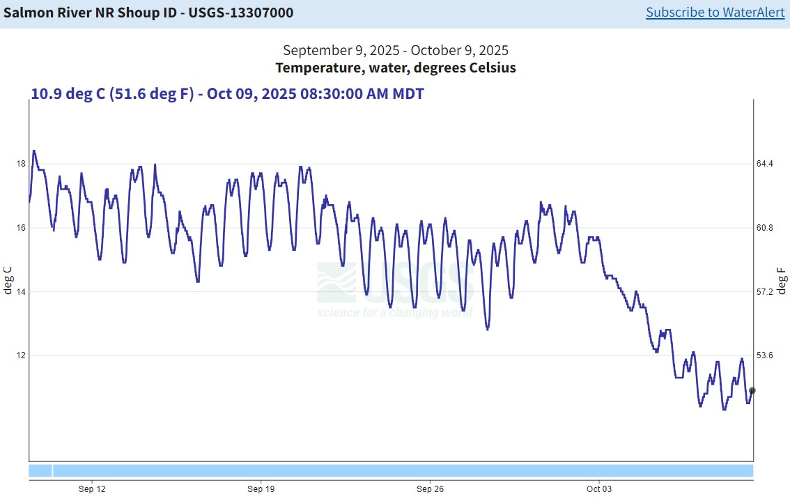 USGS Gauge nr Shoup - temp