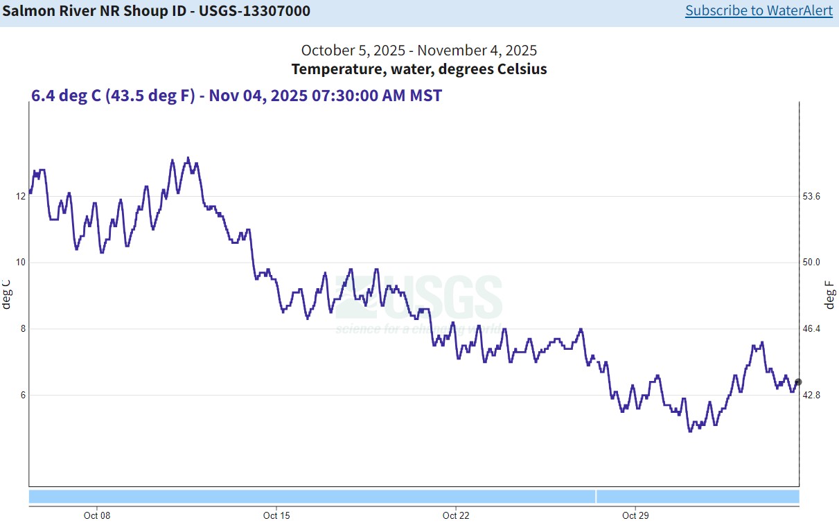 USGS Gauge nr Shoup - temp 11-04-25