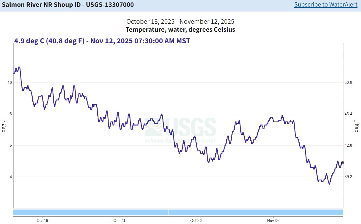 USGS Gauge nr Shoup - temp 11-12-25