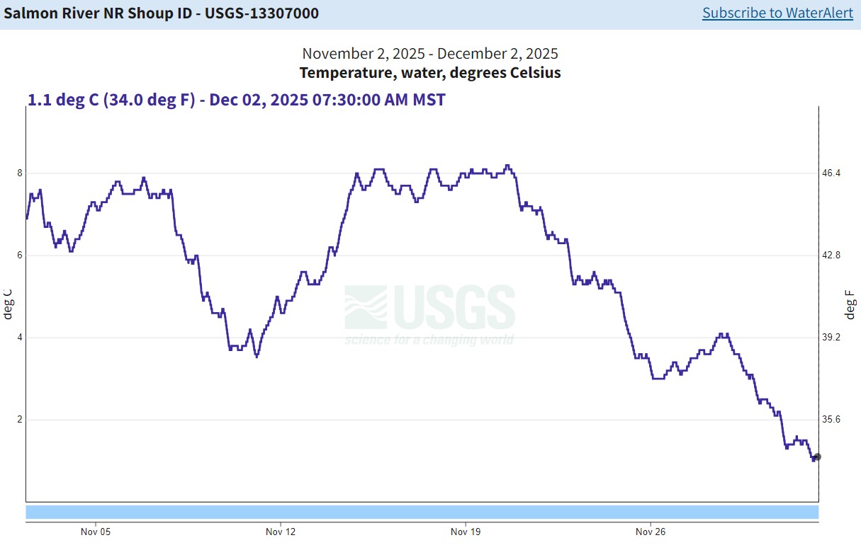 USGS Gauge nr Shoup - temp 12-02-25