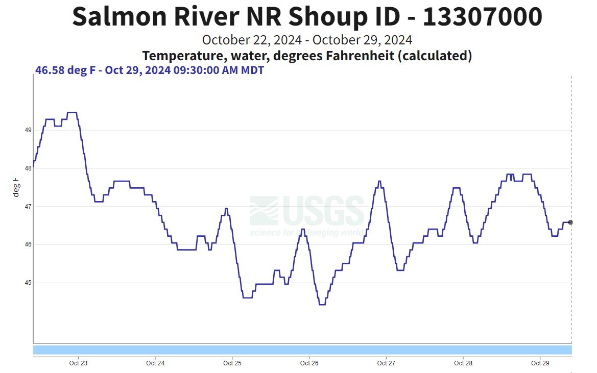 USGS Gauge nr Shoup - temp 10-29-24