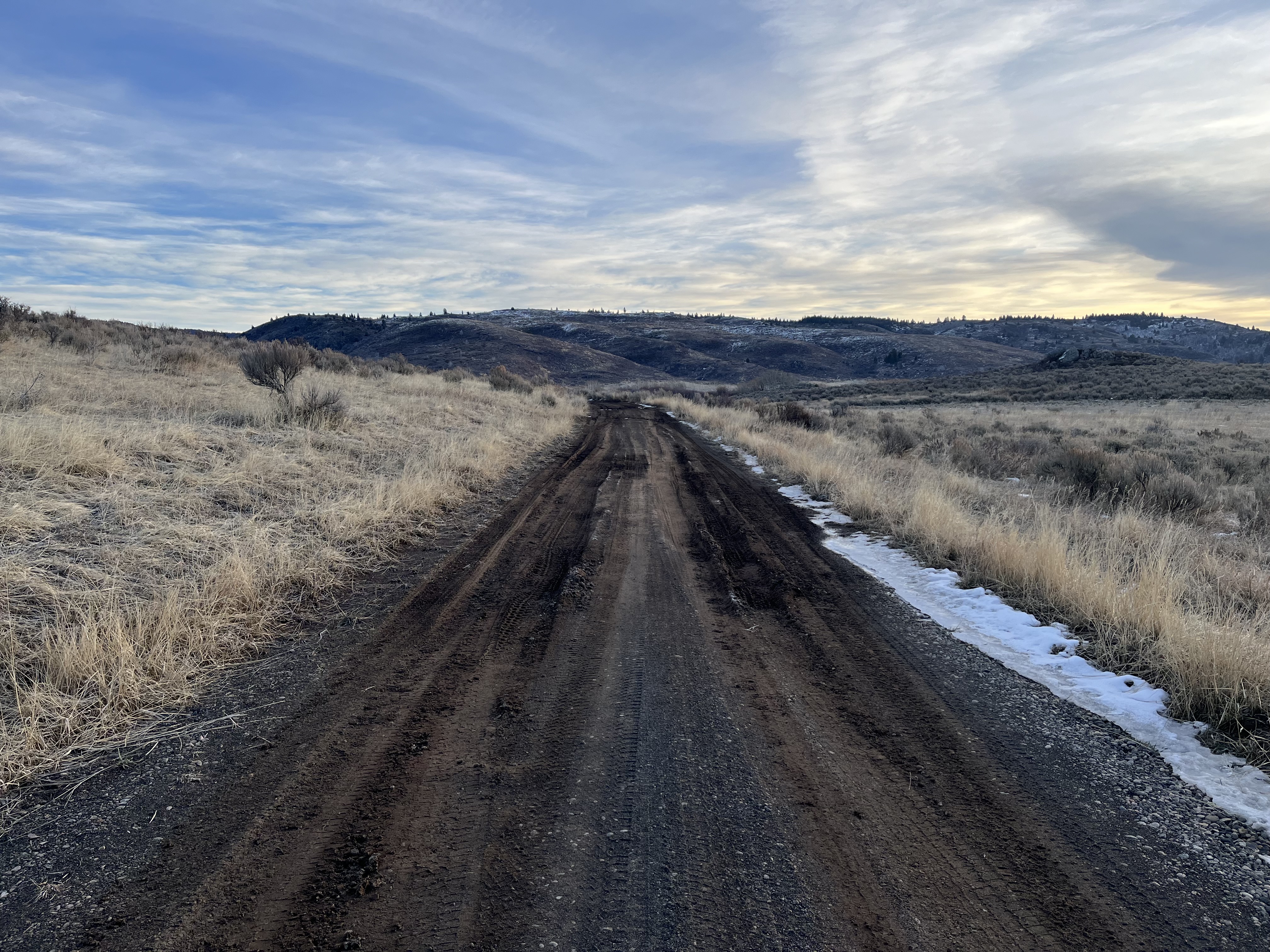 Rutted Road at Sand Creek WMA