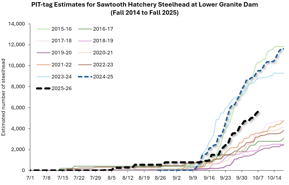 LGR estimates for Sawt steelhead - 2025