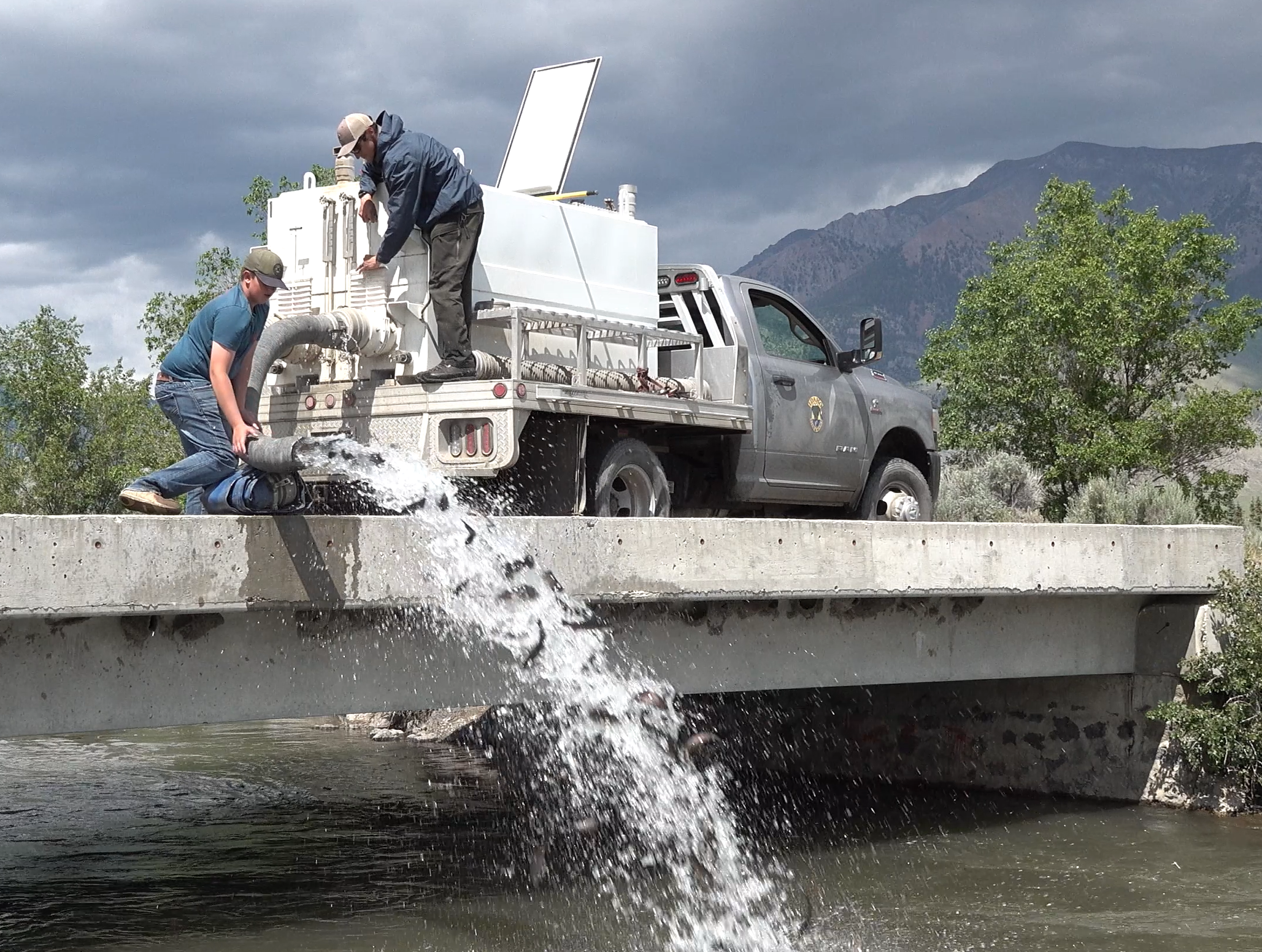 Rainbow trout stocking schedule for September 2023 in the Magic Valley  Region