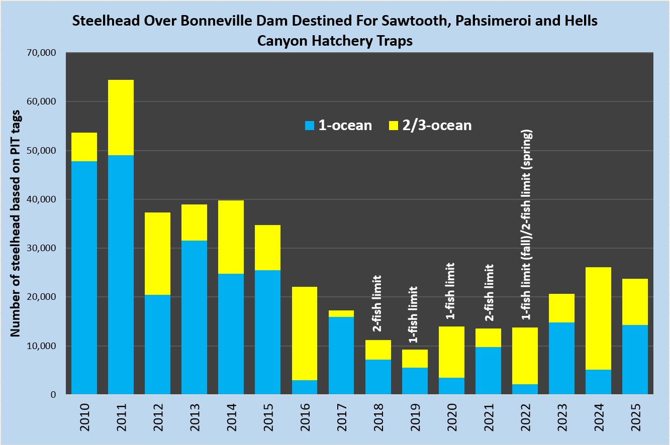 Number of Snake and Salmon steelhead that have passed over Bonneville Dam that are destined for trap locations