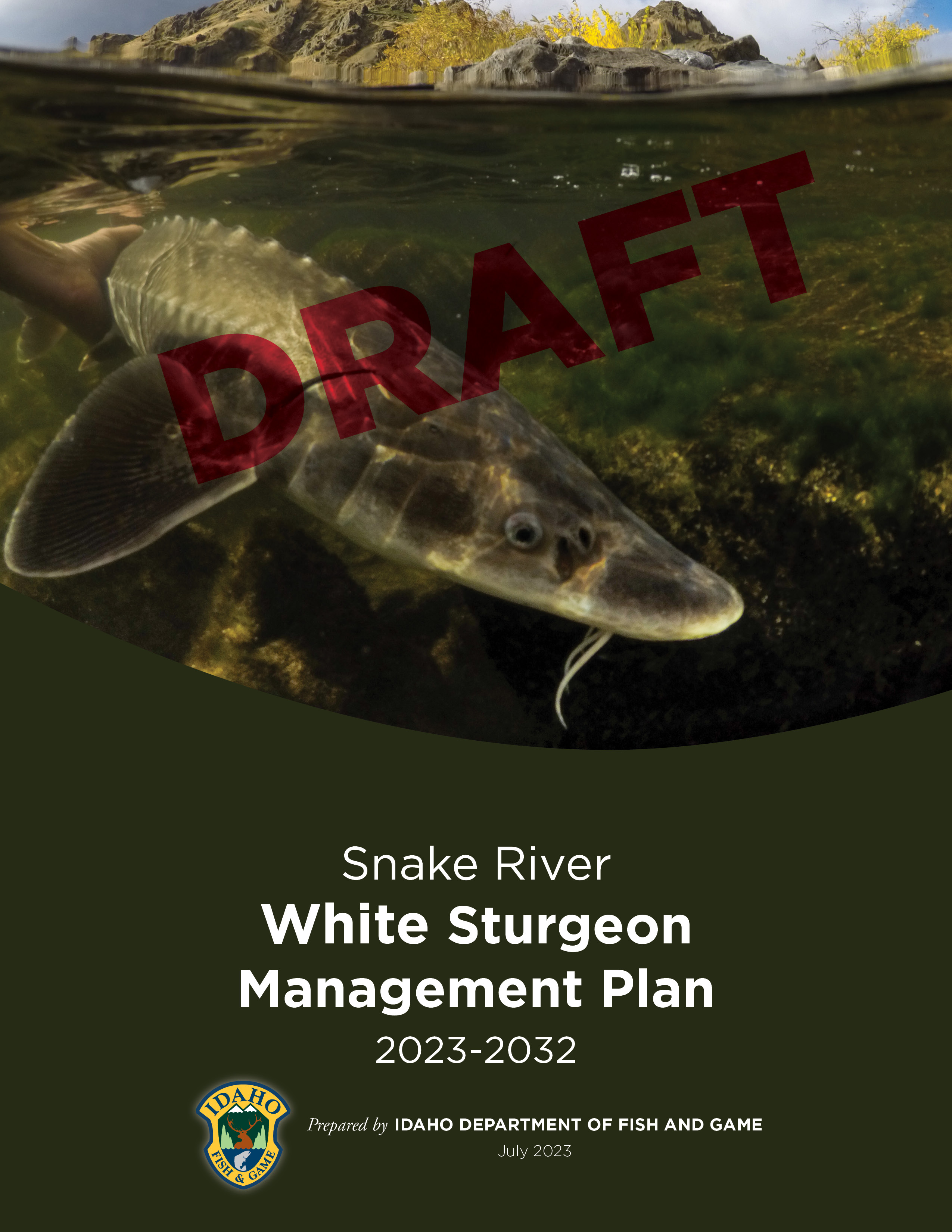Snake River White Sturgeon Management Plan cover 