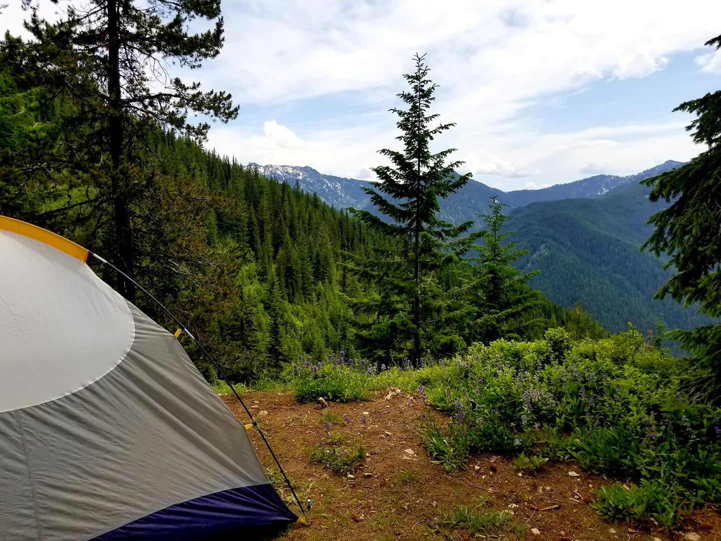 snow_peak_tent