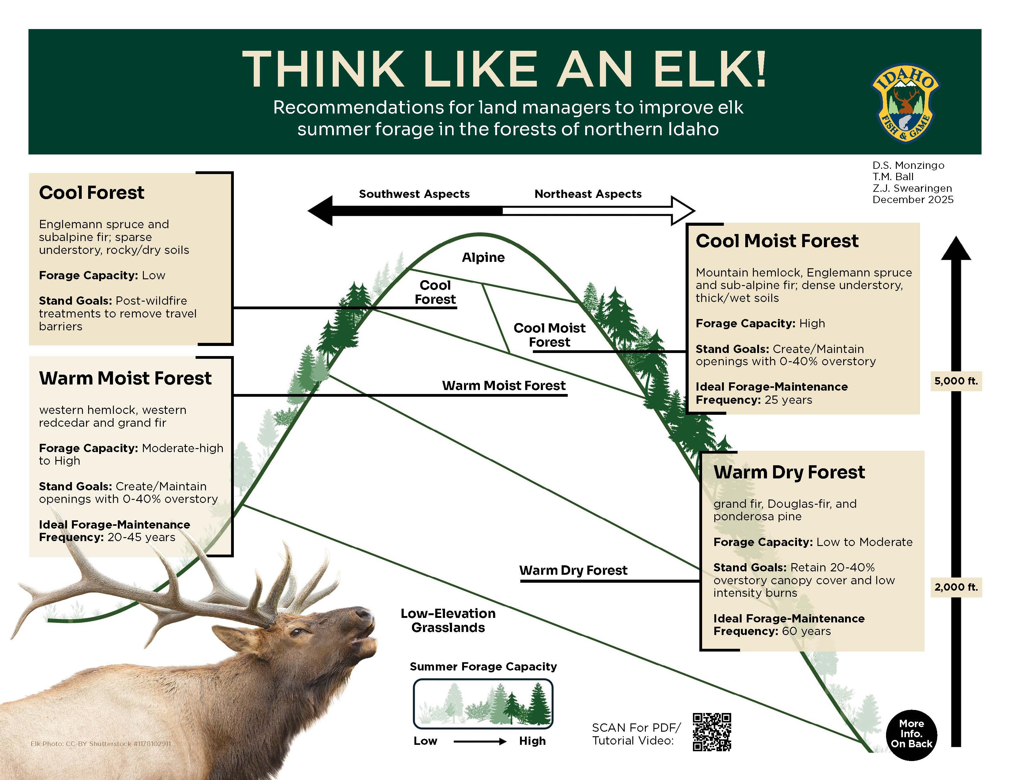 Think Like An Elk