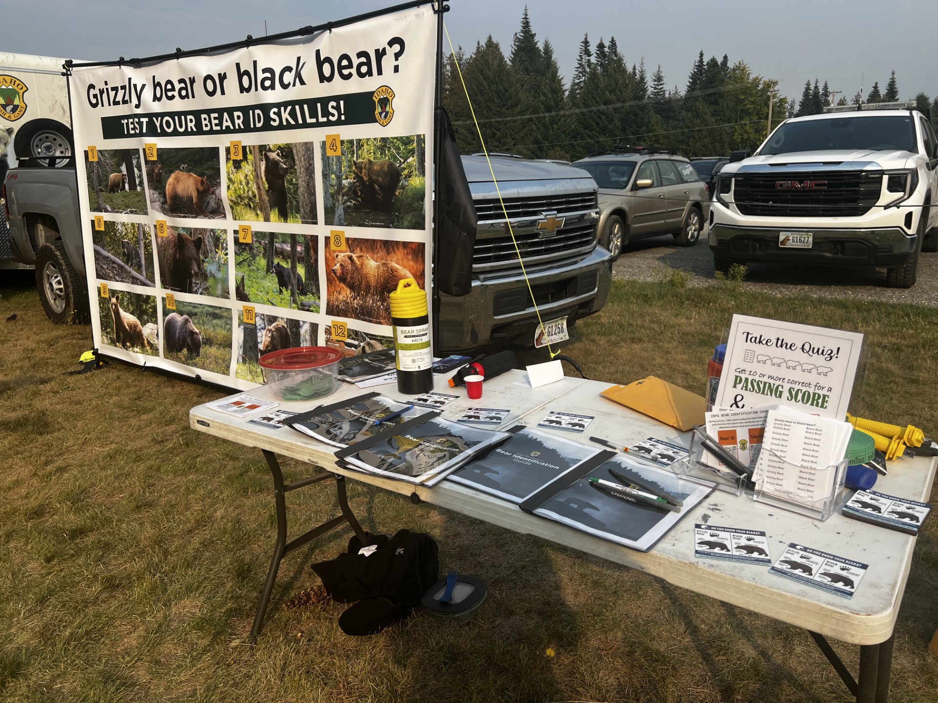 2025 North Idaho Bear Fair bear identification quiz