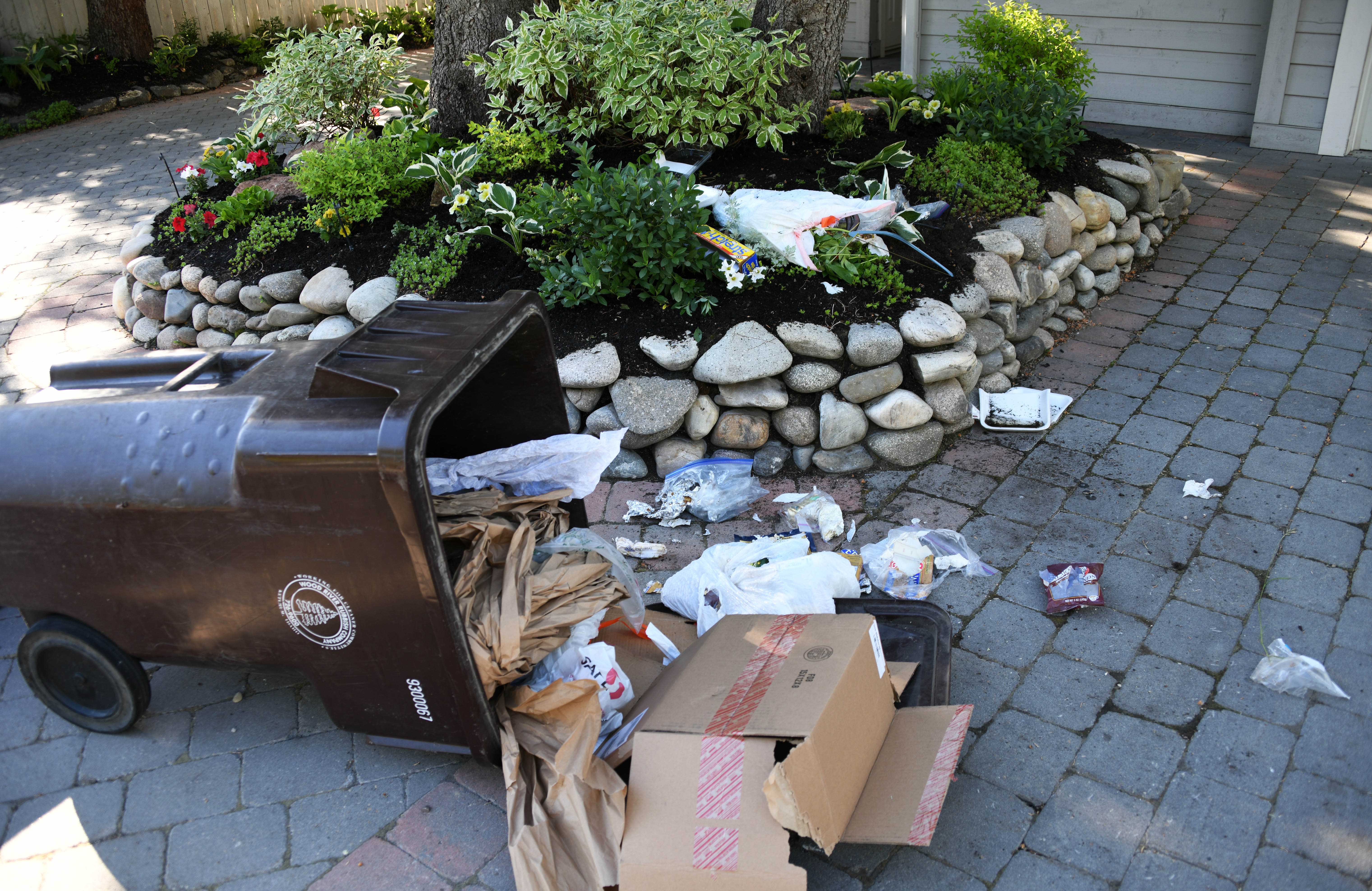 A garbage cart tipped over by a black bear in Ketchum