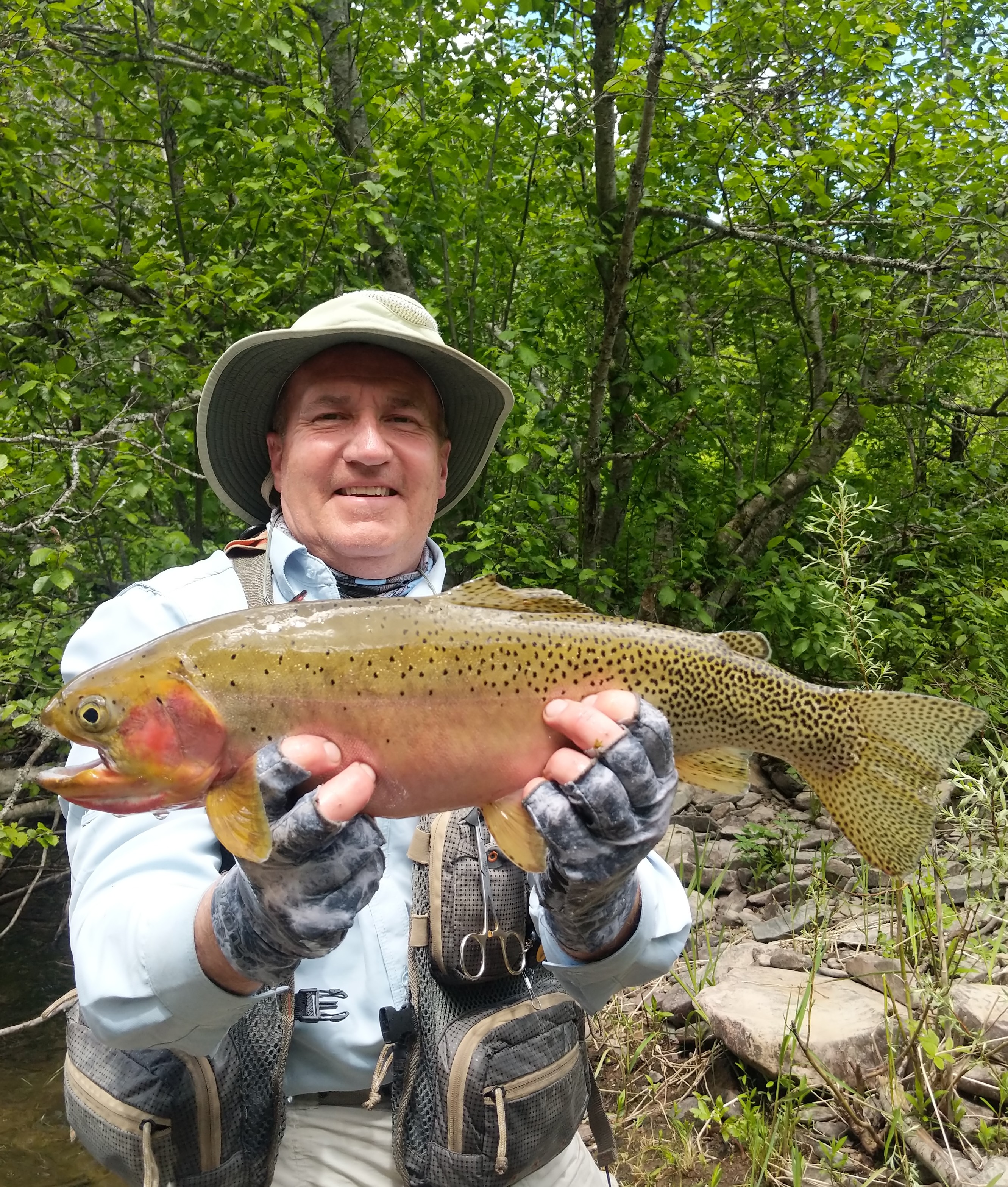 Jigging for Cutthroat Trout at Bear Lake 