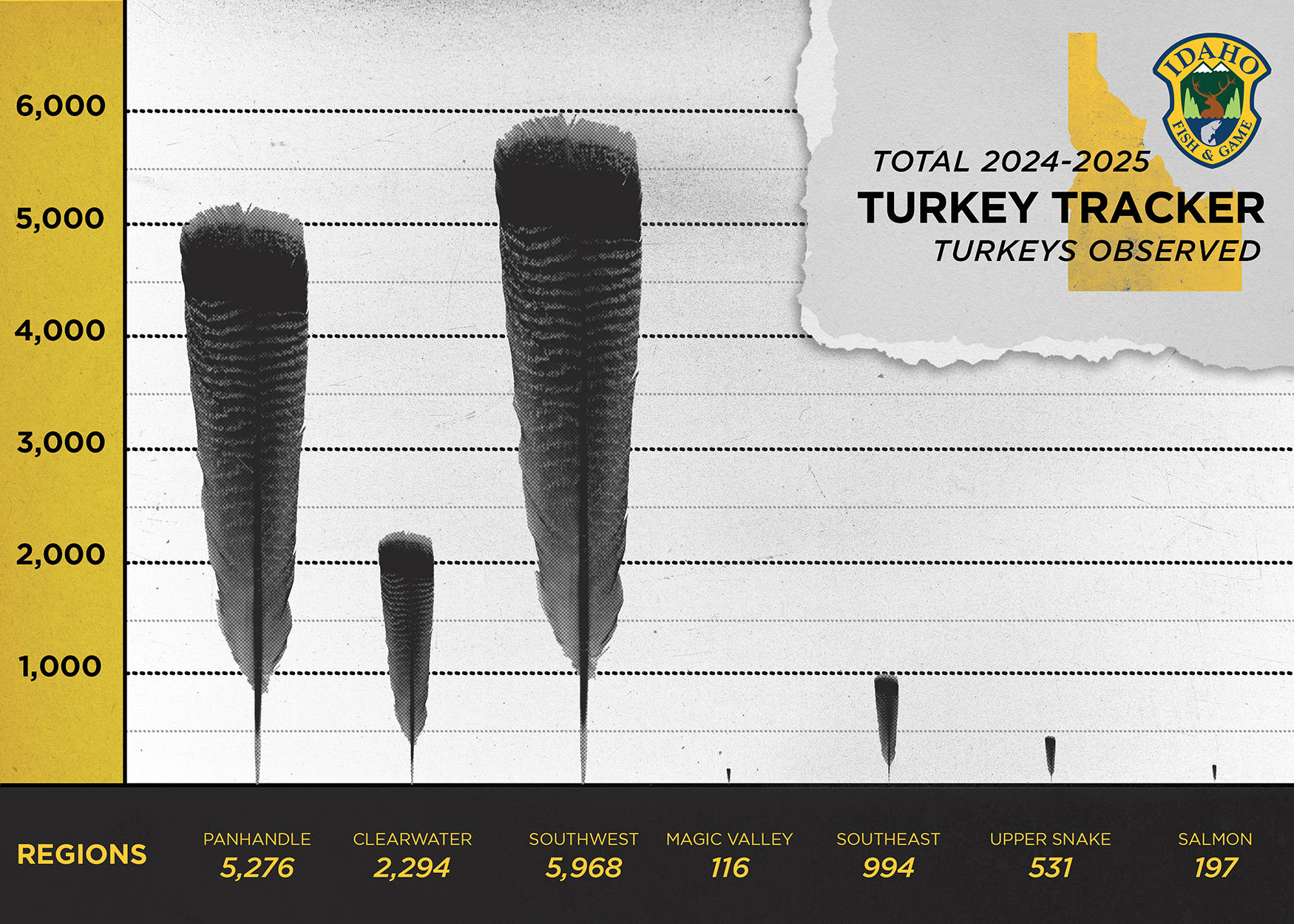 A total count of turkey observations per each region, 2024-2025