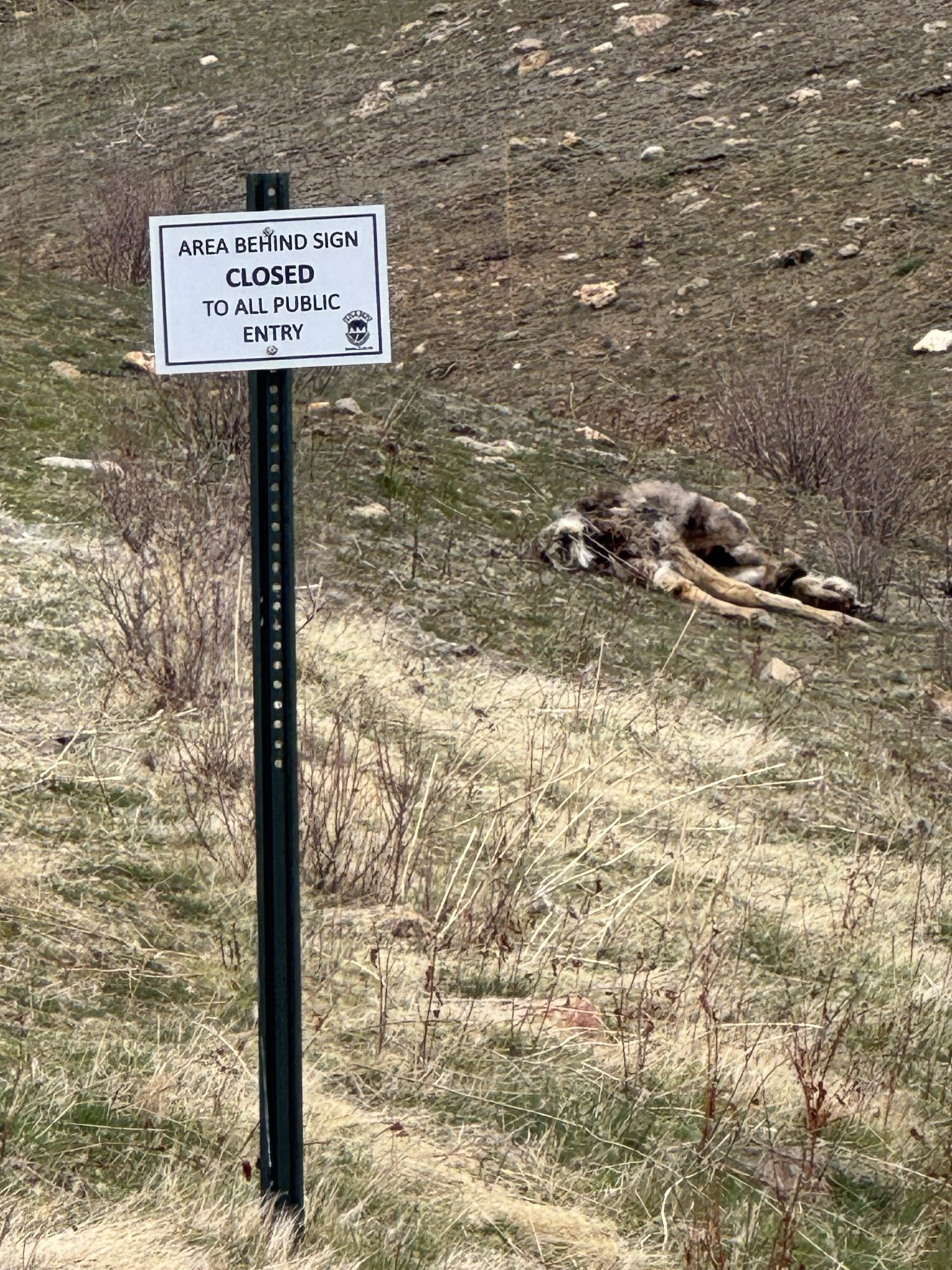 A dead mule deer fawn is seen behind an area closure sign on the Boise River WMA, following the 2024 Valley Fire