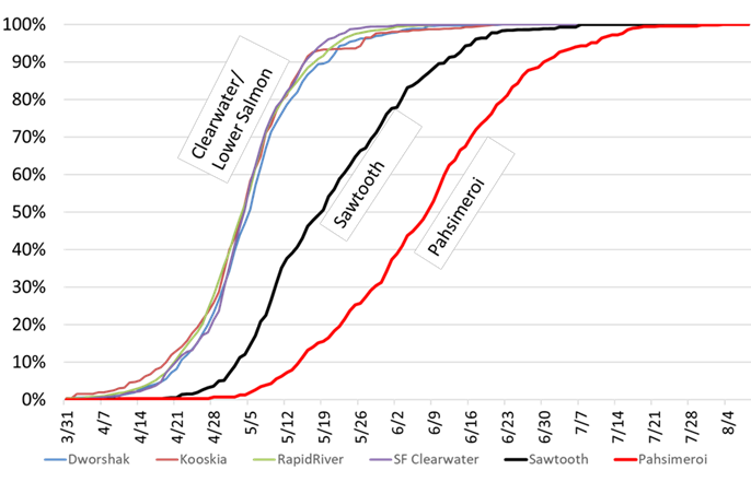 Run timing graph of Clearwater/Lower Salmon, Sawtooth, and Pahsimeroi hatchery stocks over Bonneville Dam.