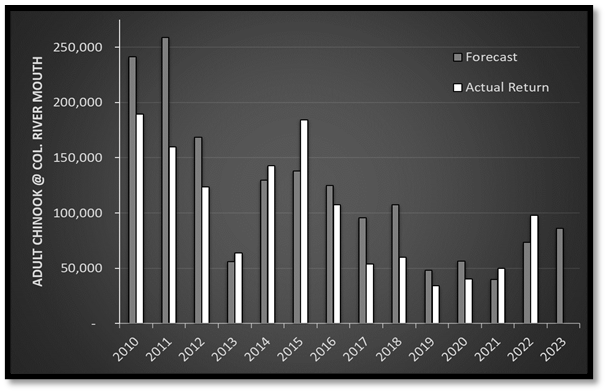 Upper salmon Chinook salmon adult forecast