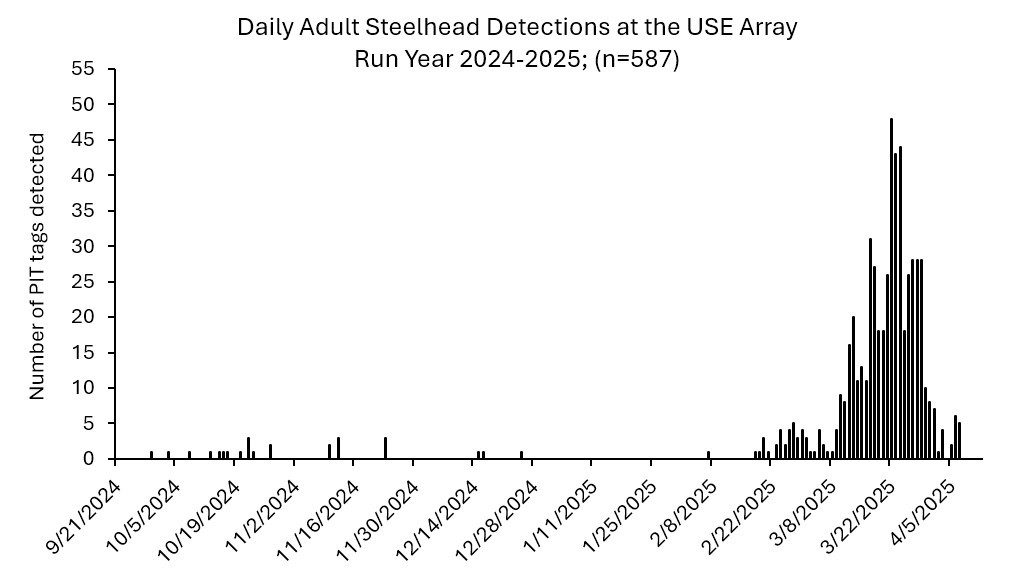 USE array as of 4-07-2025