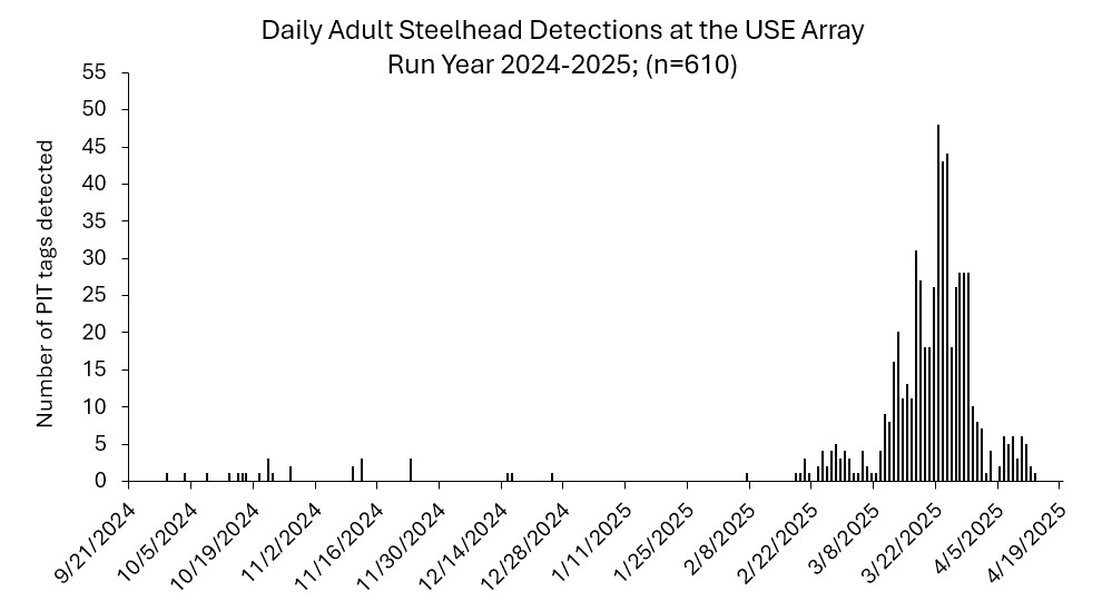 USE array as of 4-13-2025