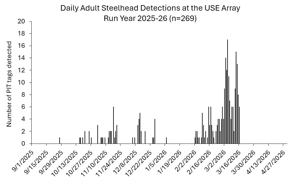 USE array as of 3-16-2026