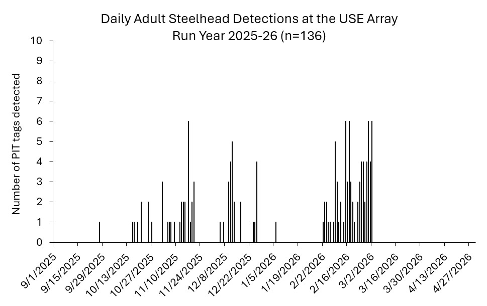 USE array as of 3-02-2026