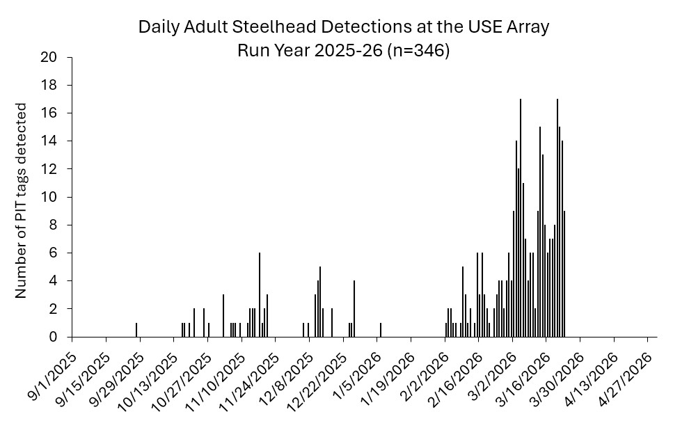 USE array as of 3-23-2026