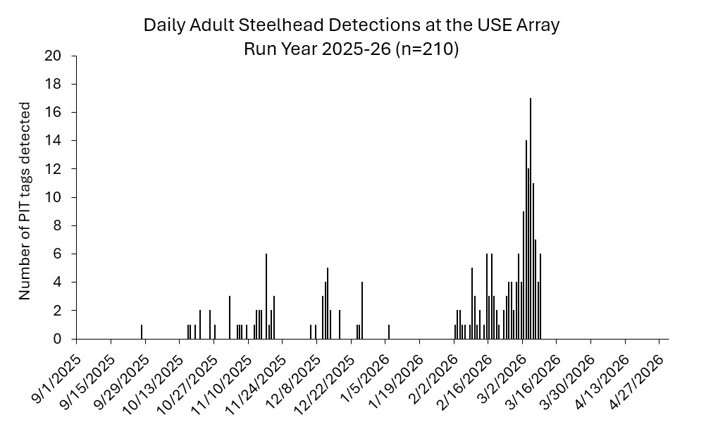 USE array as of 3-09-2026