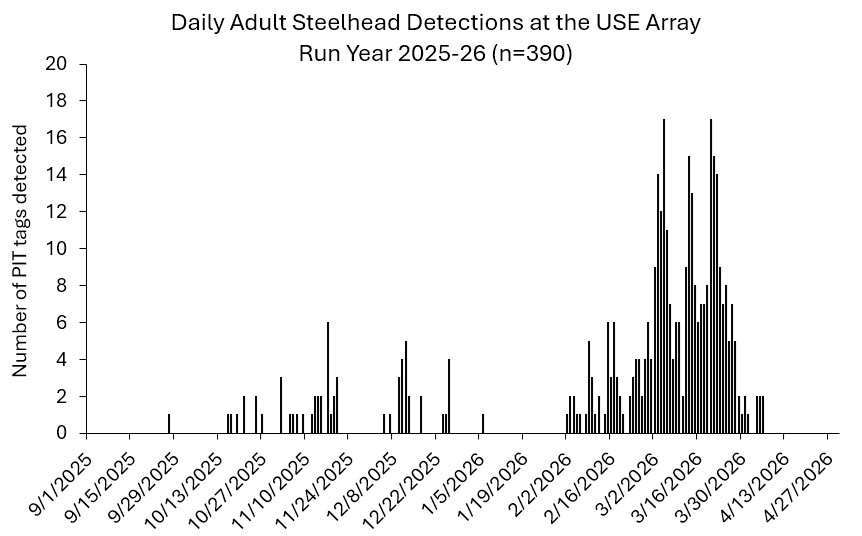 USE array as of 4-06-2026