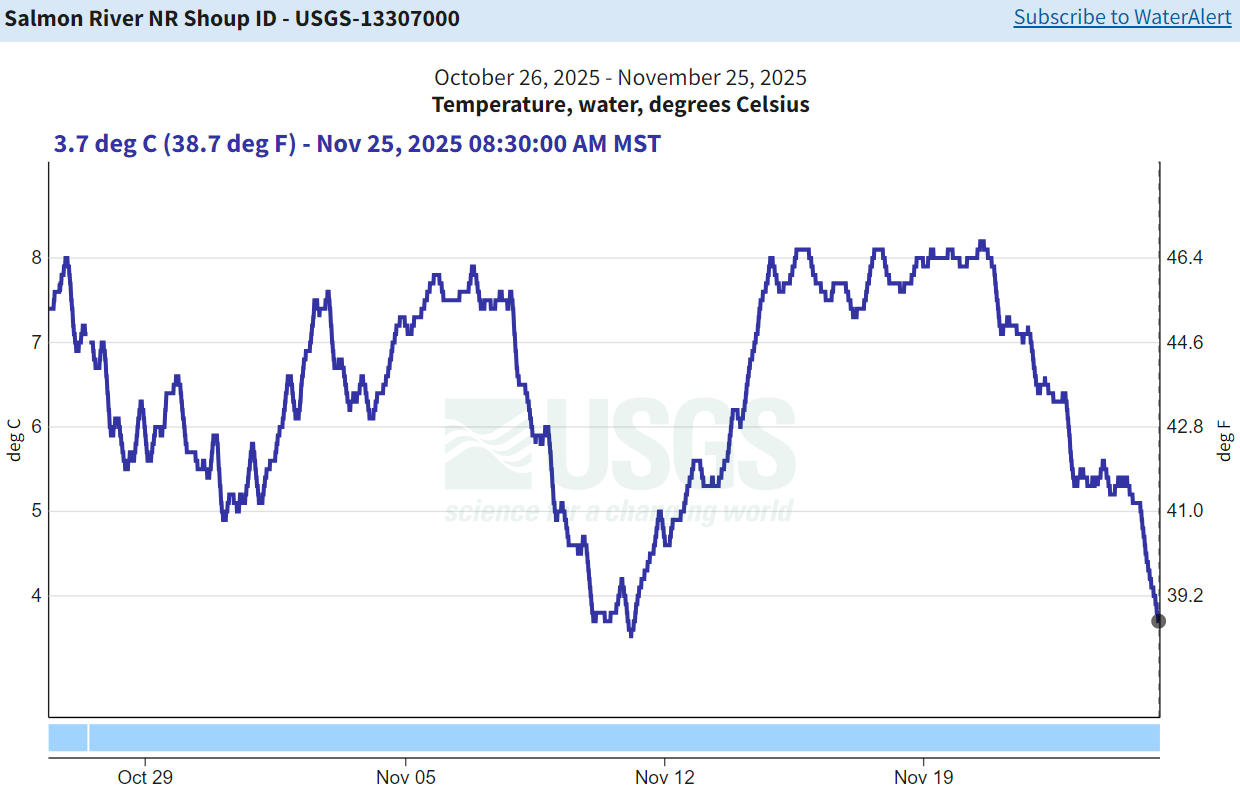 USGS Gauge nr Shoup - temp 11-25-25