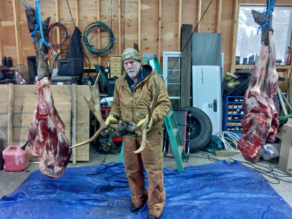Unlawfully harvested moose, shot on VanLoon’s property 