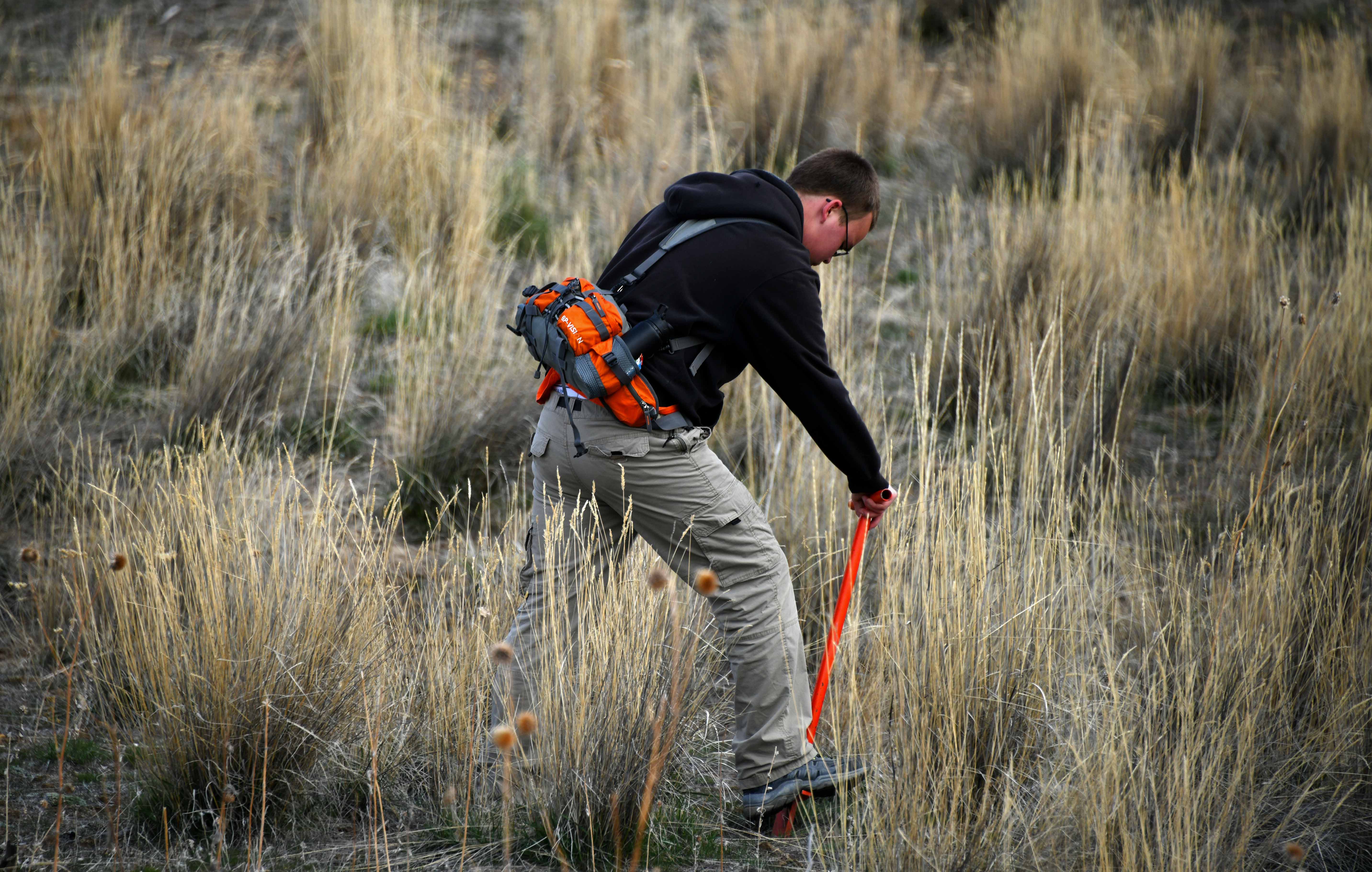 A volunteer helps plant sagebrush in mule deer winter range.