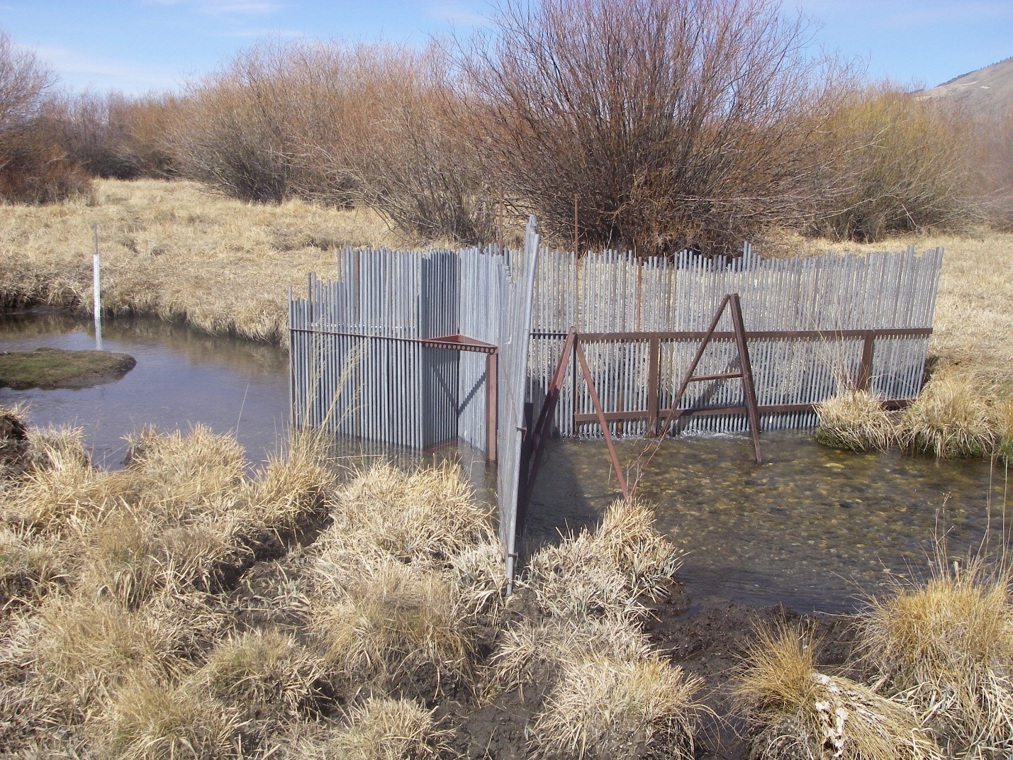 Fences in streams are picket weirs that help biologists survey salmon and trout migrations Idaho Fish and Game