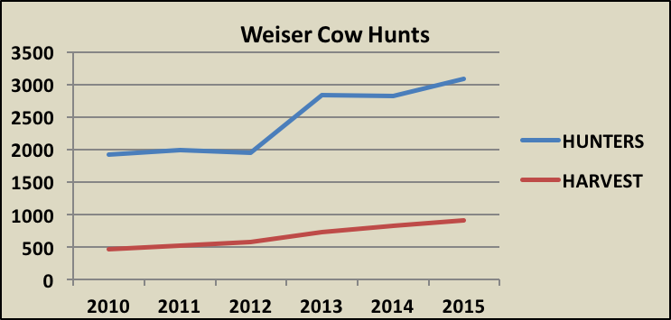 weiser-cow-hunts-2.png