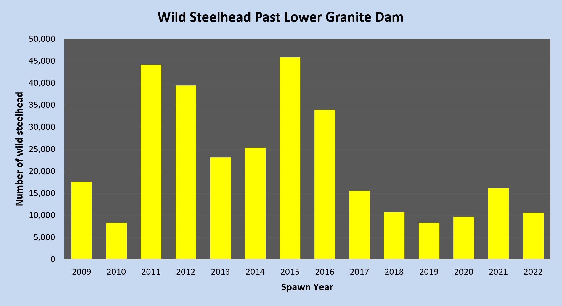 Idaho steelhead changes under new 2022-24 fishing seasons and