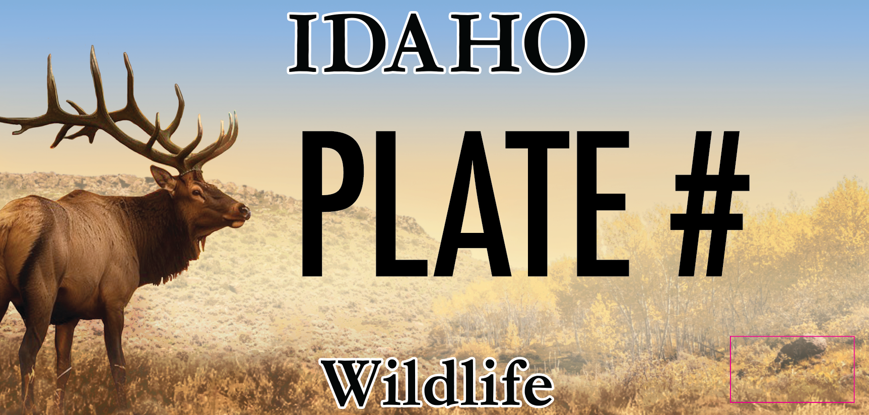 2024 Elk License Plate