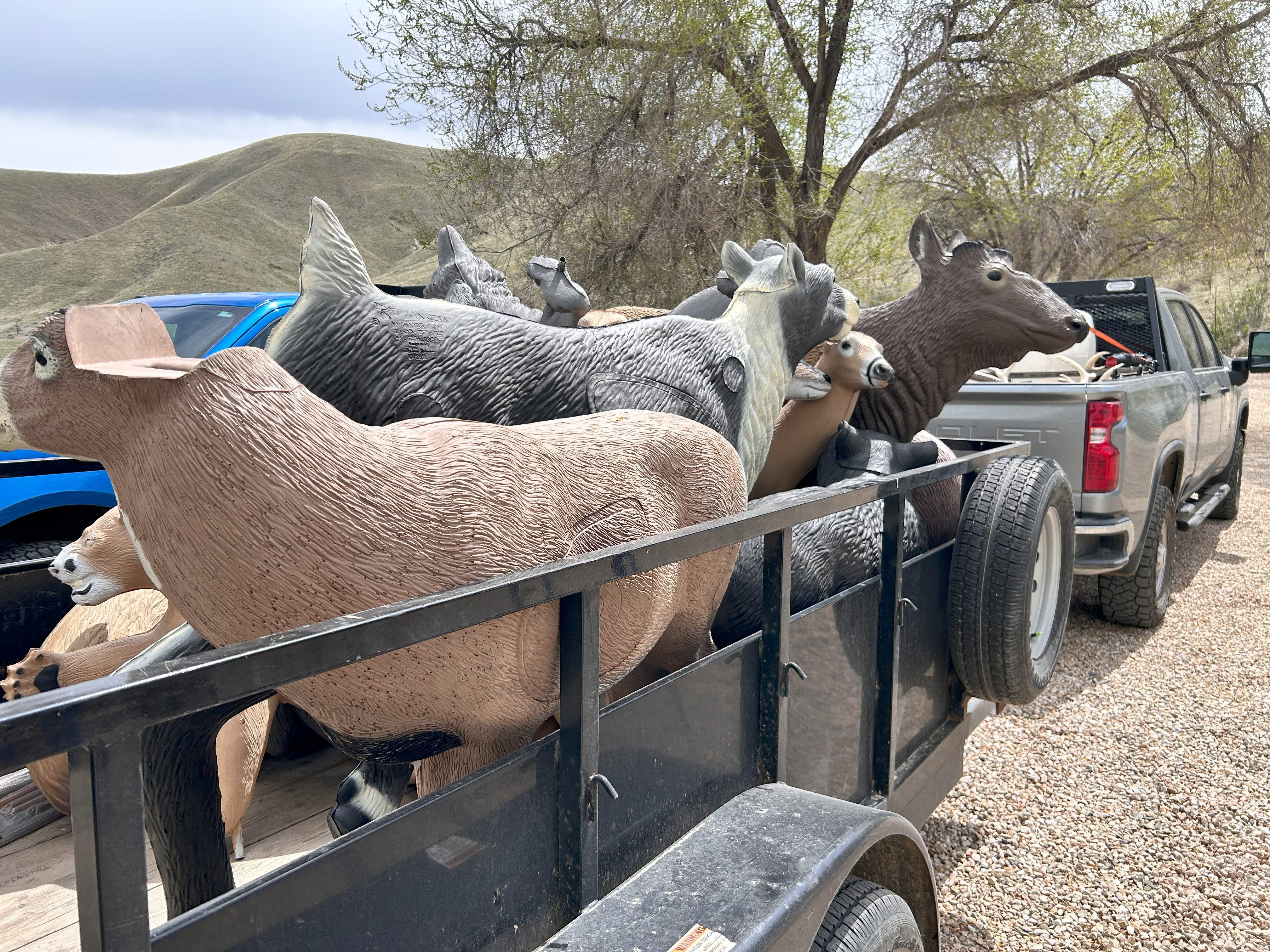 Boise River WMA 3D targets