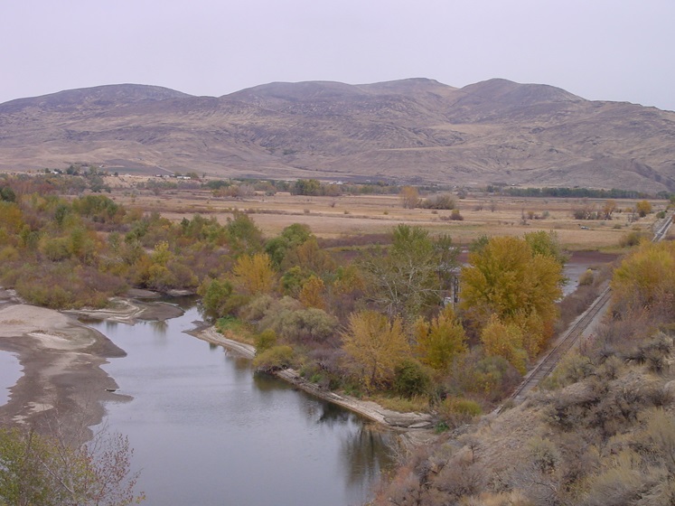 fish tagging  Mountains to Marsh