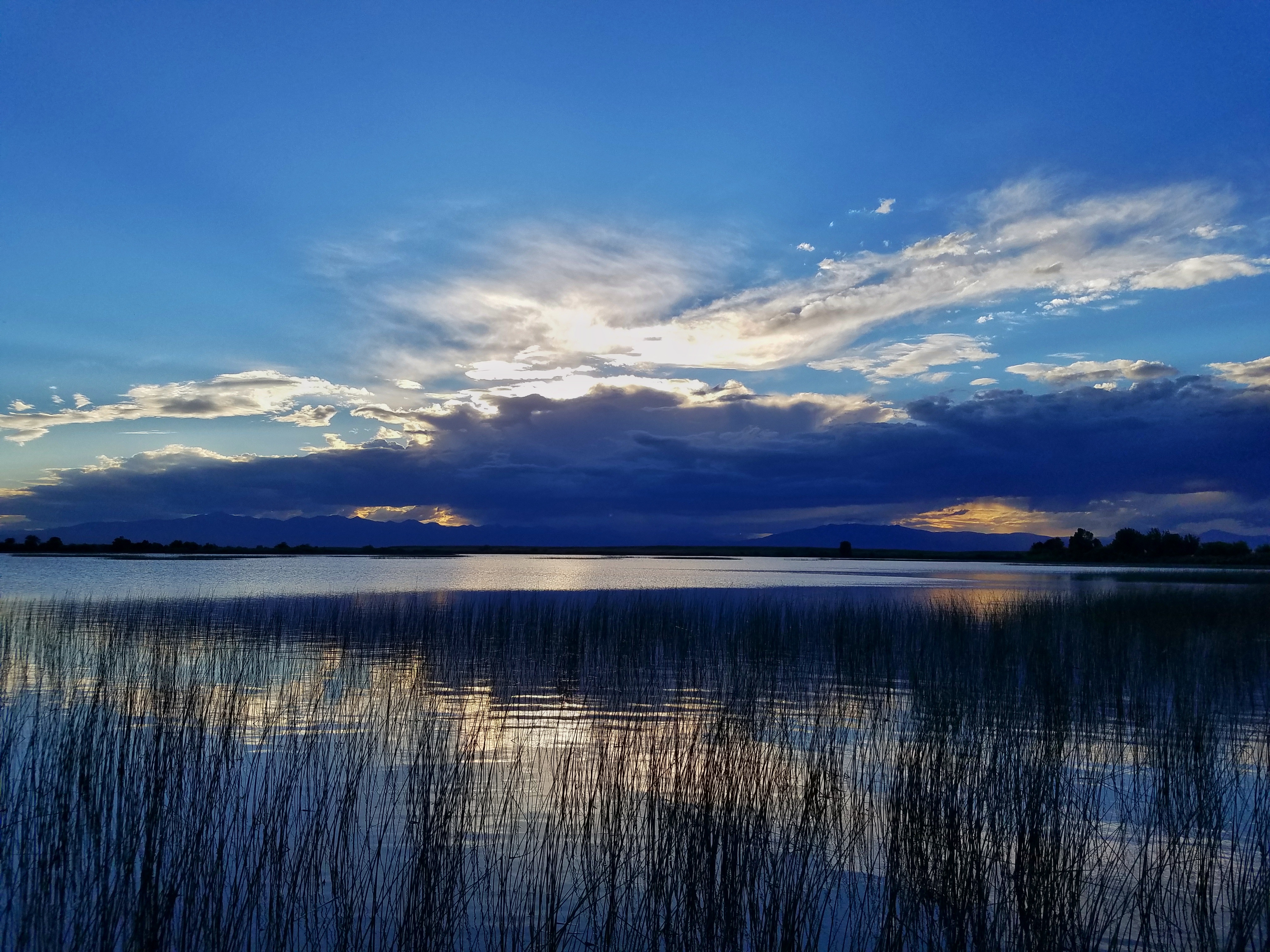 Mud Lake WMA