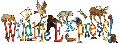 Wildlife Express Newsletter