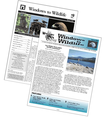Windows to Wildlife Newsletter