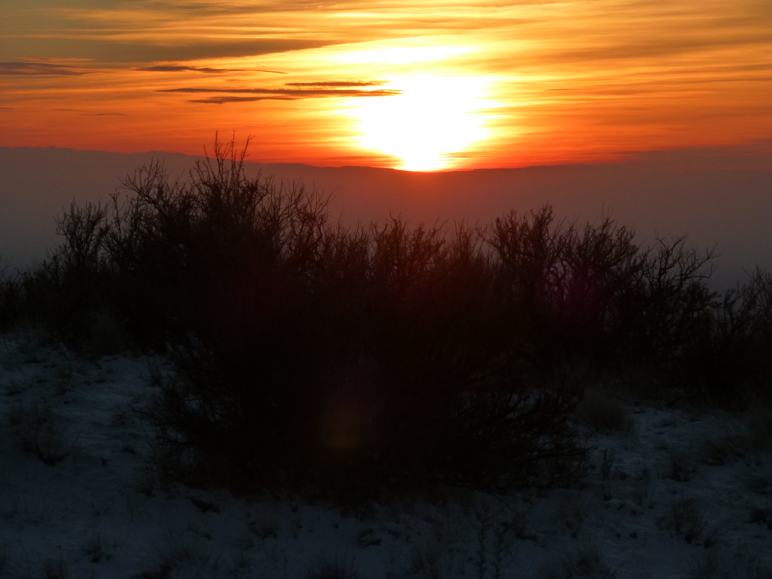 Sagebrush, Sunset, Southwest Region