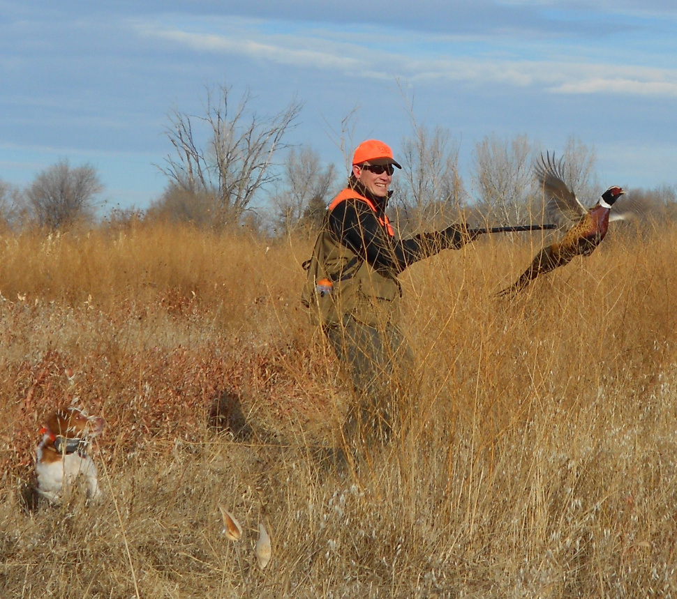  ring necked pheasant in flight with a hunter and his dog November 2011