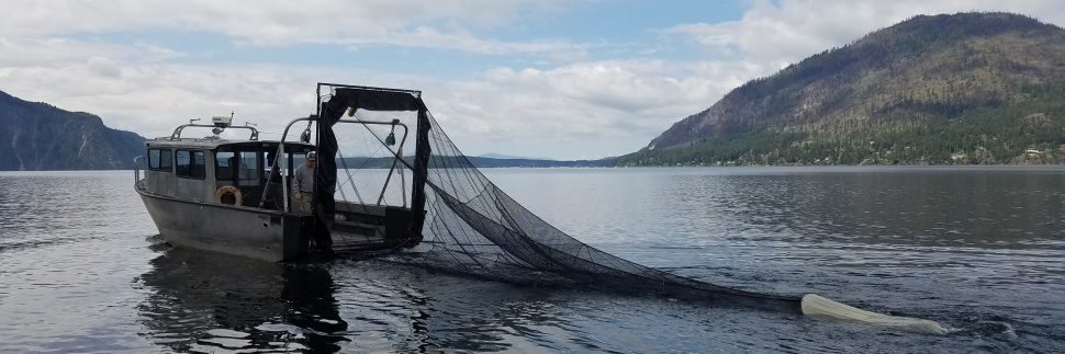 Lake Pend Oreille Fisheries | Idaho Fish and Game