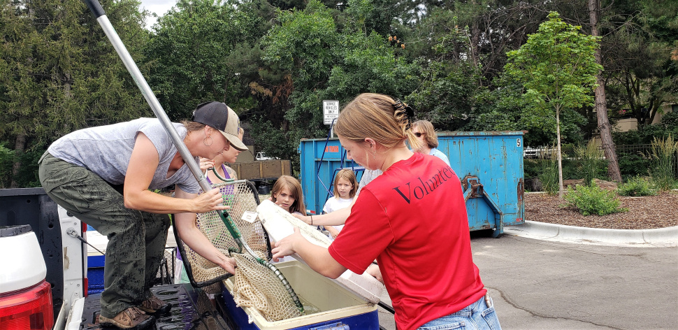 Volunteer fish netting