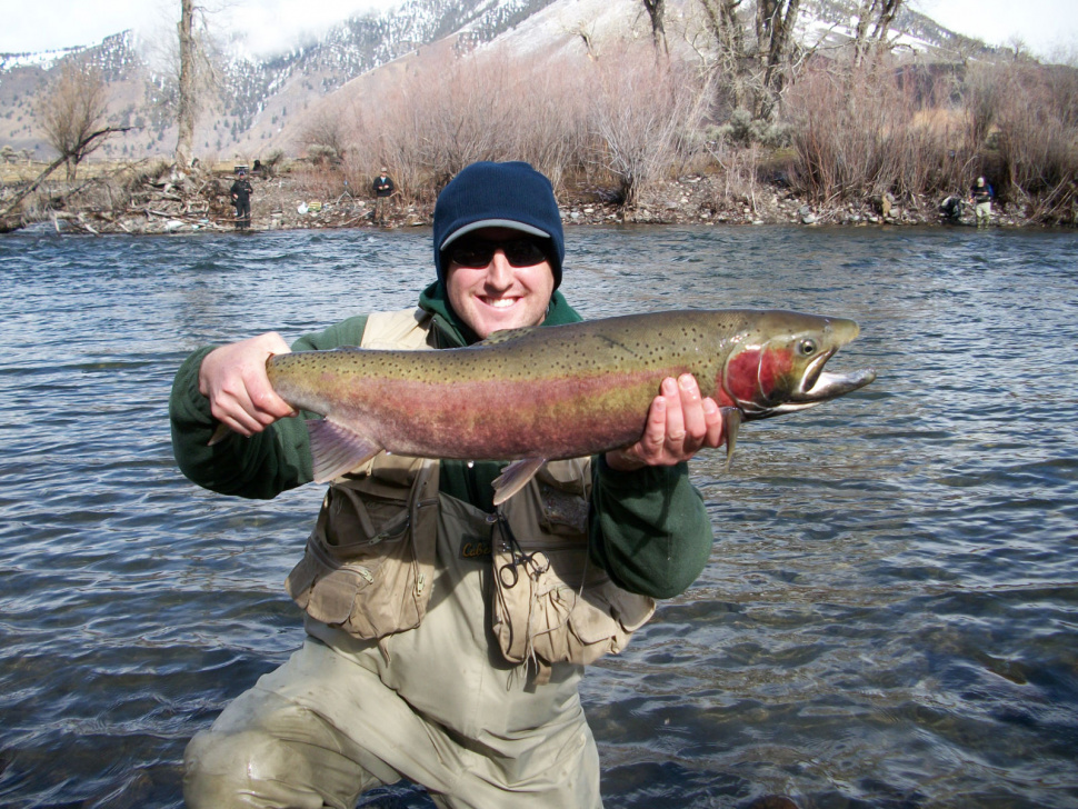angler with his 32 inch hatchery male steelhead April 2011