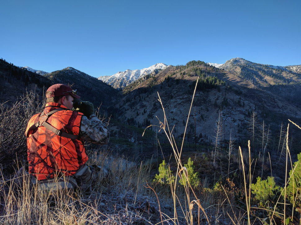 big game hunter dressed in hunter orange looking through binoculars on a mountain ridge Ben Studer medium shot, November 2016