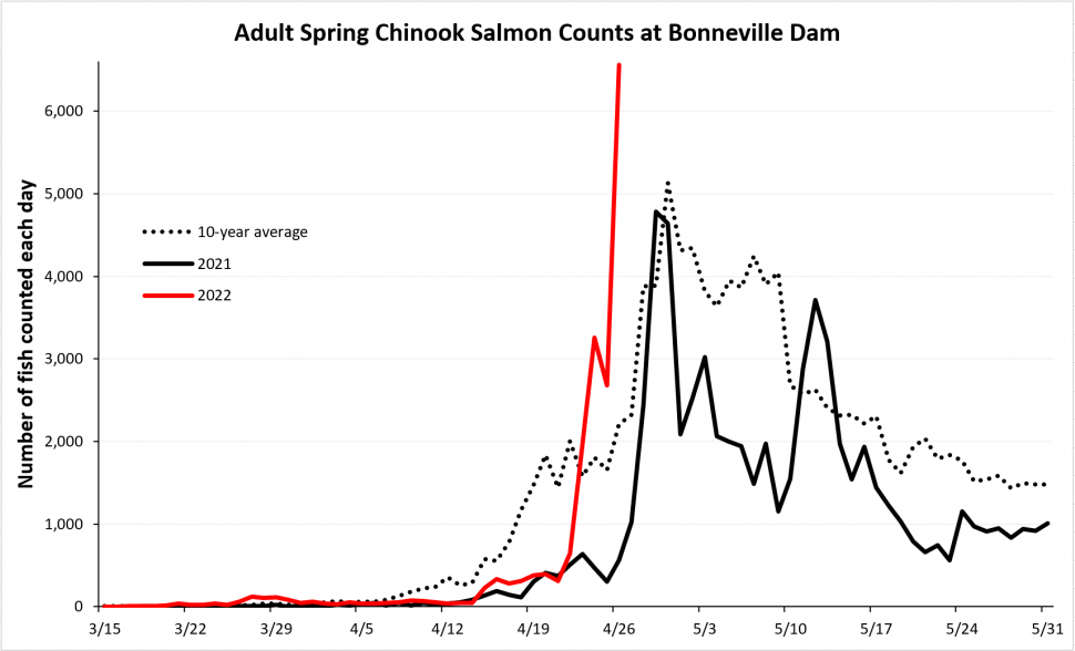 Bonneville Chinook Counts Graph