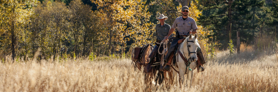 Backcountry officers on horseback / Photo by Glenn Oakley