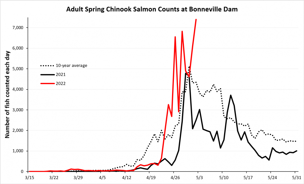 Bonneville Chinook Counts Graph