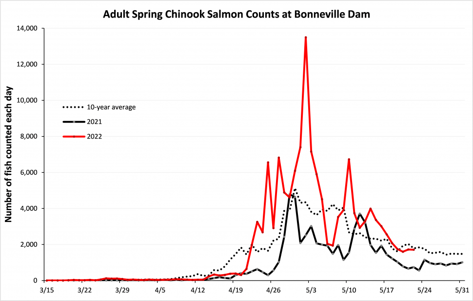 Bonneville Chinook Counts Graph